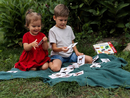 Sensory cards. Animals 2+ Montessori educational ega KS1019