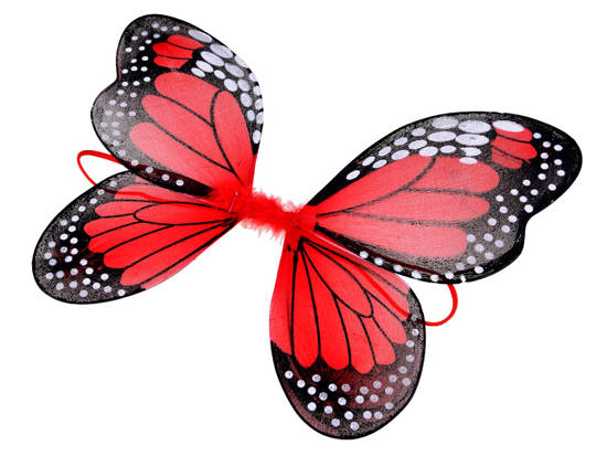 Wings BUTTERFLY butterfly wings ZA3953