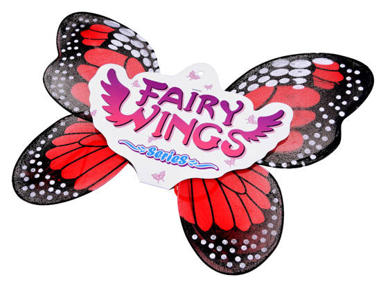 Wings BUTTERFLY butterfly wings ZA3953