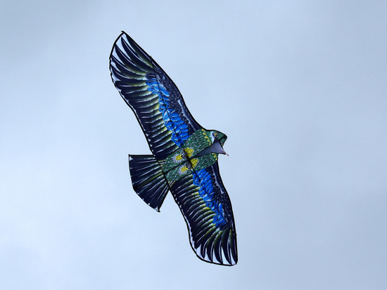 Large Light Kite BIRD Eagle - Realistic predatory hunting bird ZA5572