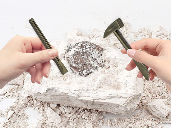 Archaeology Kit Dig Up a Surprise Fossilized Leaves and Bones ZA5753