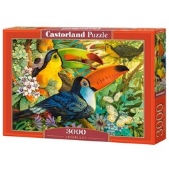 Puzzle 3000-elementów Interlude