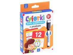 Numbers - educational cards with the marker pen KS0058