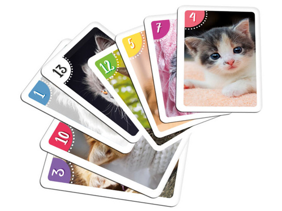 Alexander Card Memory Game Peter Cats Cards GR0666