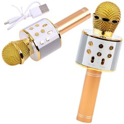 Wireless karaoke microphone speaker IN0136