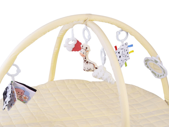 Educational Baby Play Mat with Arch + Toys, Teether, Contrast Book ZA5827