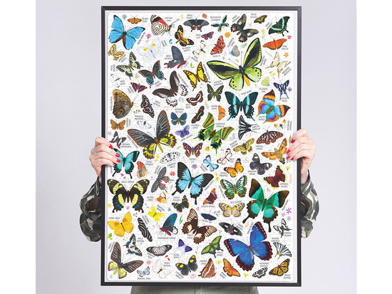 CzuCzu Puzzlove Butterflies 1000 pieces butterflies ZA5629