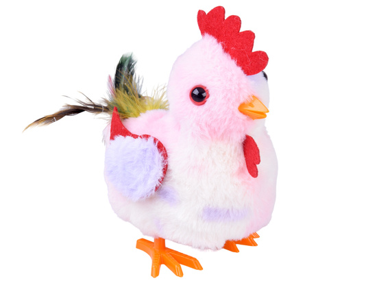 The toddling HEN Grażyna, sweetie! - crows and flaps her wings ZA6018