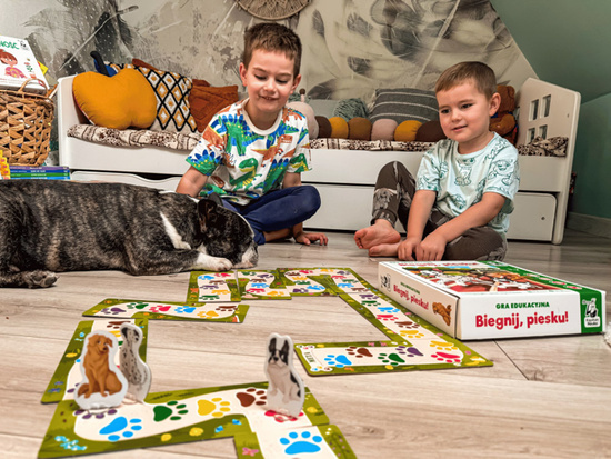 Kapitan Nauka Biegnij, piesku! Gra edukacyjna - logika i spostrzegawczość GR0734