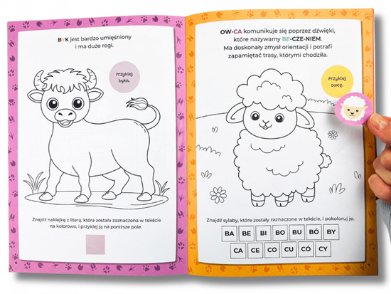 Kapitan Nauka Kolorowanka sylabowa. Na wsi KS1211