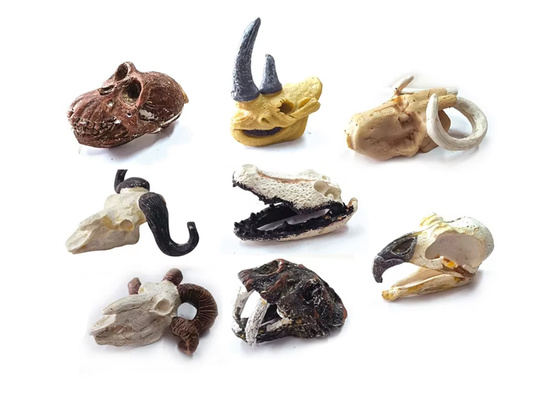 Archaeology Kit Dig Up Surprise Fossil Skulls ZA5754