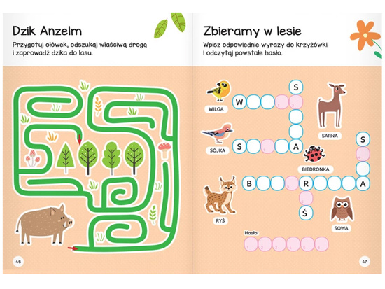 Aksjomat Łamigłówki przedszkolaka z wiew. 5 lat KS1087