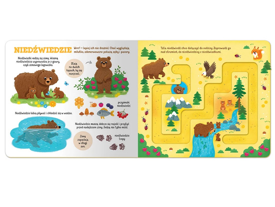 Axiom Animals in the Forest. Labyrinths KS1182