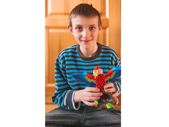Alexander zestaw kreatywny Origami 3D – Papuga ZA6074