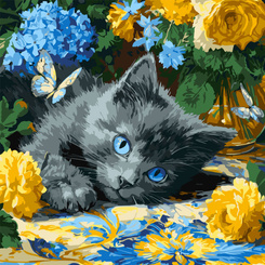 Painting by numbers 40 x 40 cm KHO6795 Blue-eyed kitten AP0098