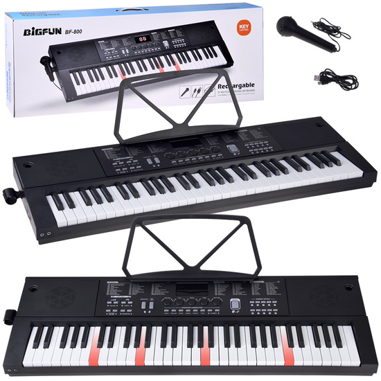 Organ CLASSIC KEYBOARD 61-keys with a wood feel + microphone IN0184