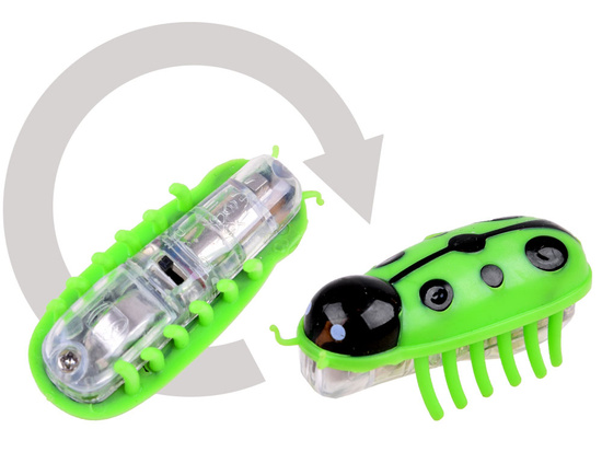 Crazy Battery-Powered Worm – Nano-Nest Insect Mega Set ZA0183
