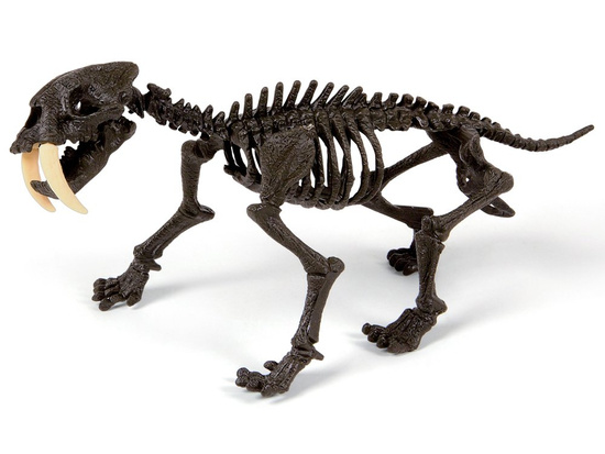 Clementoni Smilodon Build a tiger skeleton ZA3713