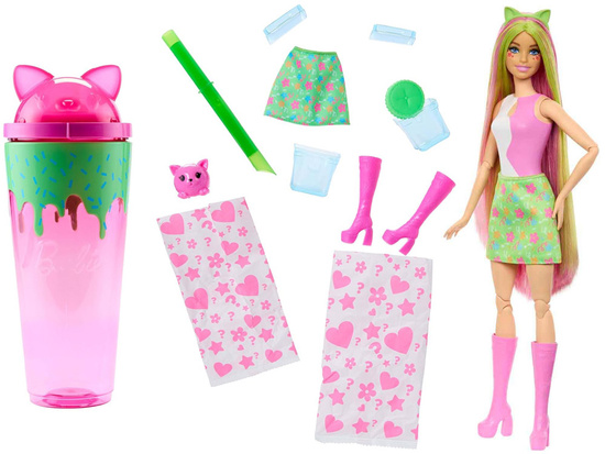Mattel Barbie Pop Reveal doll from the series: Shake + cat and accessories ZA6061