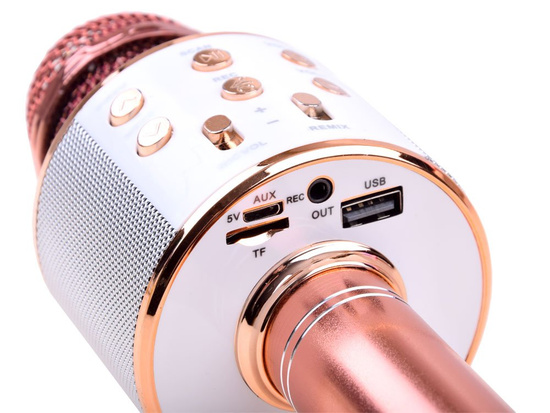 Wireless karaoke microphone speaker IN0136