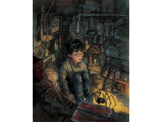 Media Rodzina Harry Potter i Kamień Filozoficzny. Tom 1 (ilustrowany) KS1272
