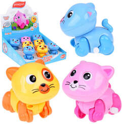 Anger cat moves its tail and eyes ZA1190