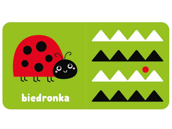 Aksjomat Zobacz maluszku! Książeczka kontrastowa z kotkiem KS0832