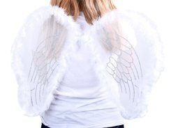 WHITE ANGEL WINGS ZA0571