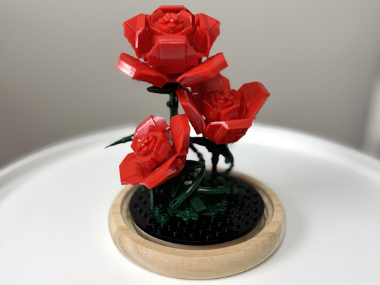Illuminated ROSE under the dome - flowers, 219 pieces ZA5901