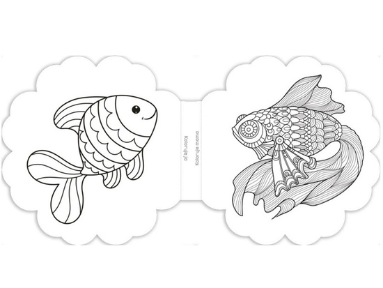 Aksjomat Malowanka dla dziecka Magiczne zwierzęta  KS0512