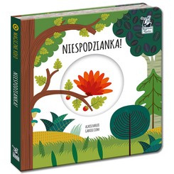 Kapitan Nauka Magiczne koło. Niespodzianka! KS0674