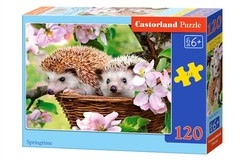 Puzzle 120 el. Springtime
