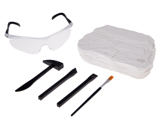 Archaeology Kit Dig Up a Surprise Fossilized Leaves and Bones ZA5753
