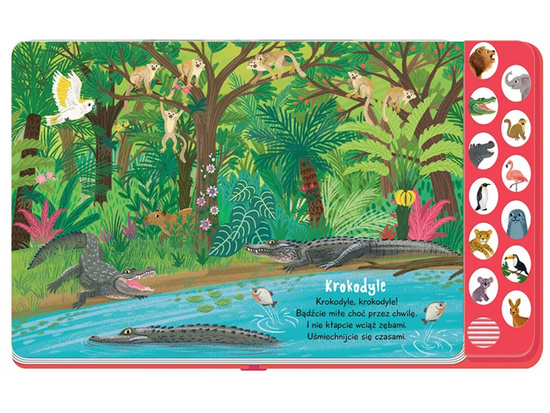 Axiom I listen and learn. At the zoo book with sounds and rhymes KS1138