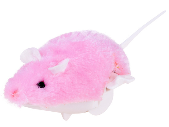  Mouse screwed to the child and cat ZA0838