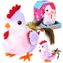 The toddling HEN Grażyna, sweetie! - crows and flaps her wings ZA6018