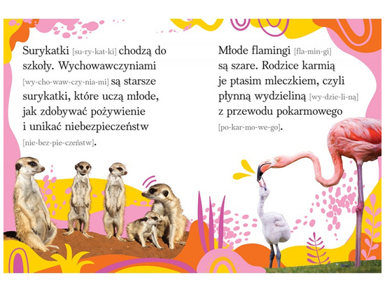 Axiom Words and Sentences for Learning to Read. Animals Big and Small KS1174
