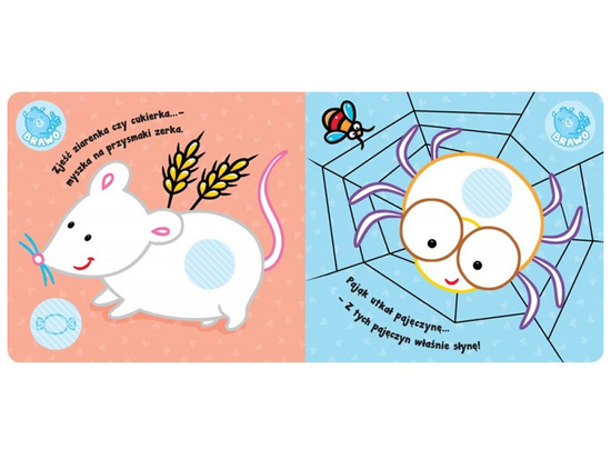 Aksjomat Zwierzęta w parku. Kolorowanka z grubym obrysem KS0514