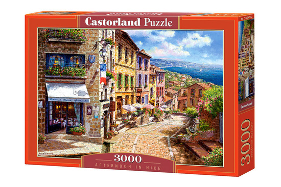 Puzzle 3000-pieces Afternoon in Nice