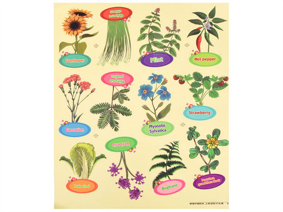 Little Gardener BIO Set – Greenhouse, Seeds, and Pots for Growing Plants ZA5776