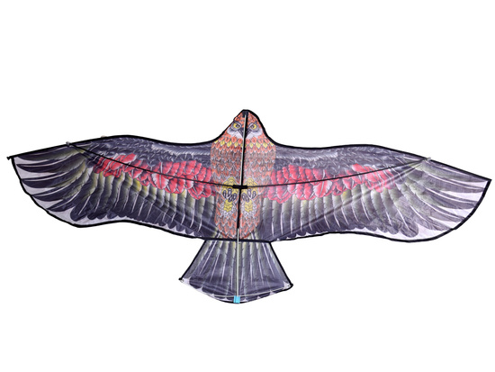 Large Light Kite BIRD Eagle - Realistic predatory hunting bird ZA5572
