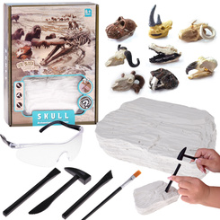 Archaeology Kit Dig Up Surprise Fossil Skulls ZA5754