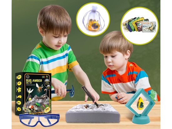 Excavations of insect fossils amber archaeologist's set ZA4725