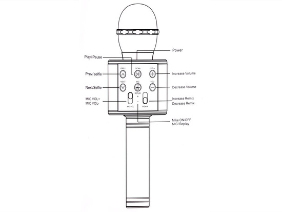 Wireless karaoke microphone speaker IN0136