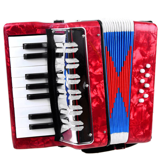 Children's big musical accordion harmony IN0148