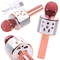 Wireless karaoke microphone speaker IN0136