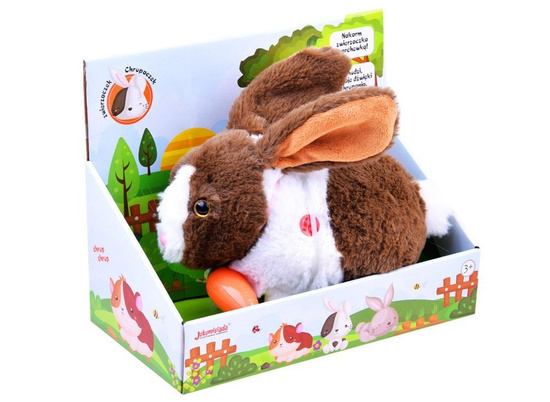 Interactive pet Rabbit guinea pig ZA2685