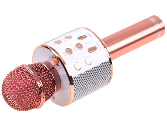 Wireless karaoke microphone speaker IN0136