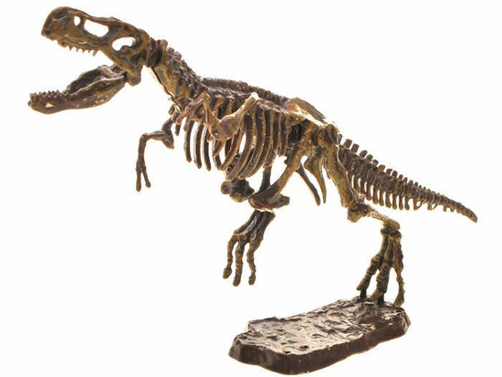  T-REX 3D skeleton excavation set ZA1777 A