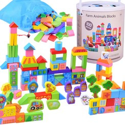 Colorful Wooden blocks sorter farm 100e ZA3565